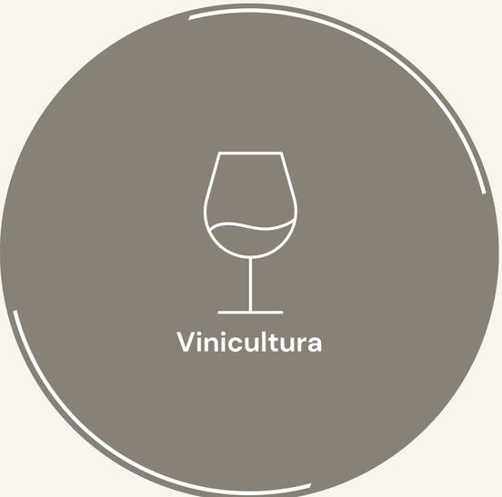 Vinicultura Vinicultura